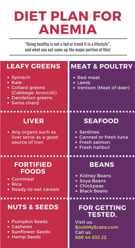 anemia diet plan - PrintableDietPlan.com