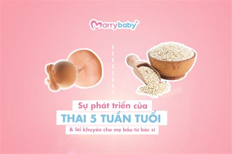 Hình ảnh hình ảnh bầu 5 tuần đáng yêu của thai nhi