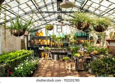 Gardening Greenhouse Interior Stock Photo 702101794 | Shutterstock