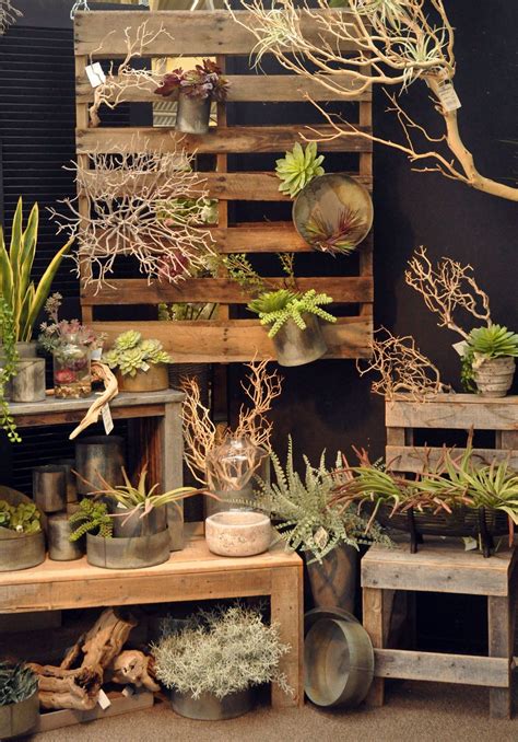 21 Most Amazing Air Plant Display Ideas in 2020 | Succulent display, Garden center displays ...