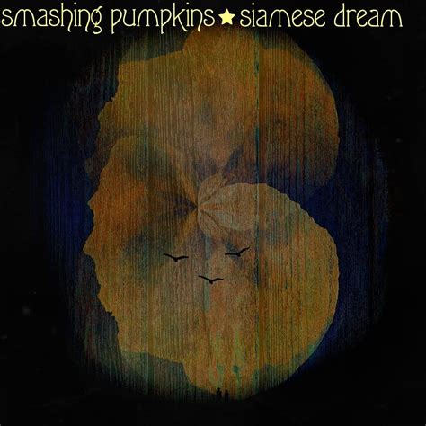 An album cover art I made for Siamese Dream :) : r/SmashingPumpkins