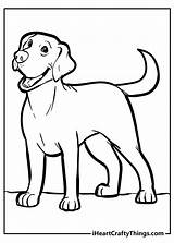 Adorable Dog Coloring Pages Adult Pdf sketch template