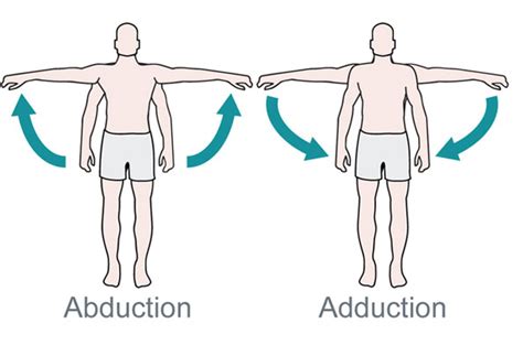 What’s the Difference Between Abduction and Adduction? (Biomechanics ...