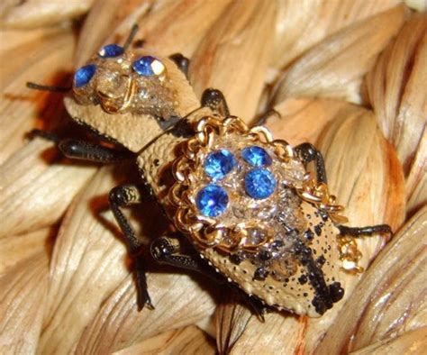 TYWKIWDBI ("Tai-Wiki-Widbee"): Caddis fly larvae jewelry