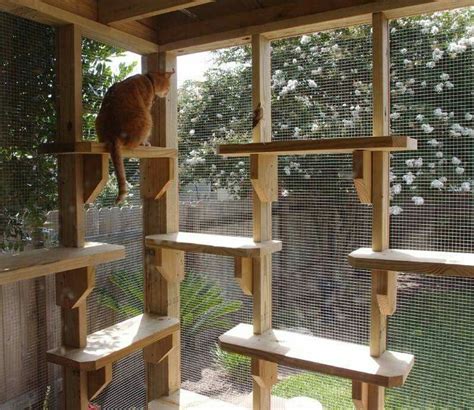 Love these shelves | Cat enclosure, Outdoor cat enclosure, Cat patio