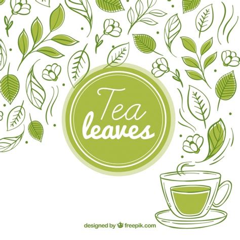 Tea Cup Silhouette Vector at Vectorified.com | Collection of Tea Cup ...