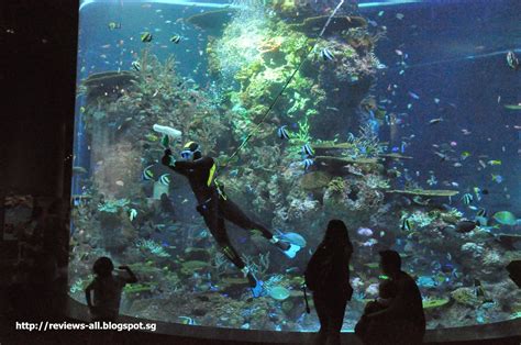 We'll Tell You - A&W Couple's Blog: S.E.A. AQUARIUM (Singapore) Marine ...