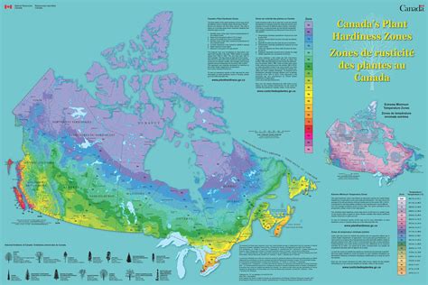 Connaitre sa zone de rusticité - Les zones de rusticité des plantes au – Le Jardin de Julie