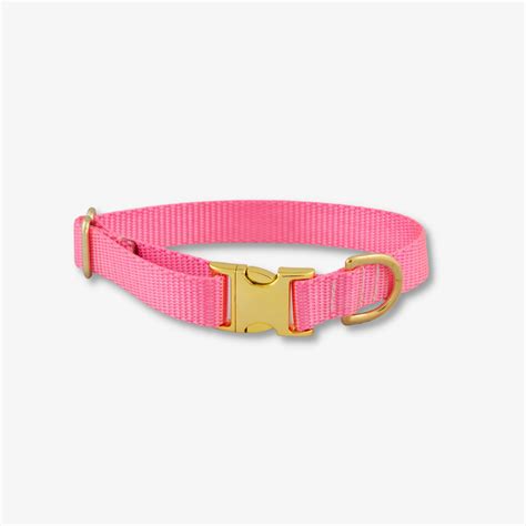 Pink Dog Collar | The Rover Boutique