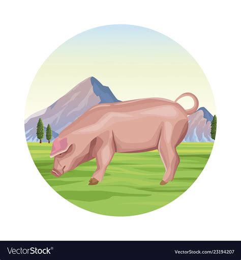 Pig farm animal Royalty Free Vector Image - VectorStock