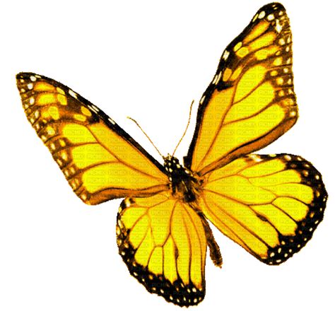 Animated.Butterfly.Yellow - By KittyKatLuv65, animated , butterfly ...