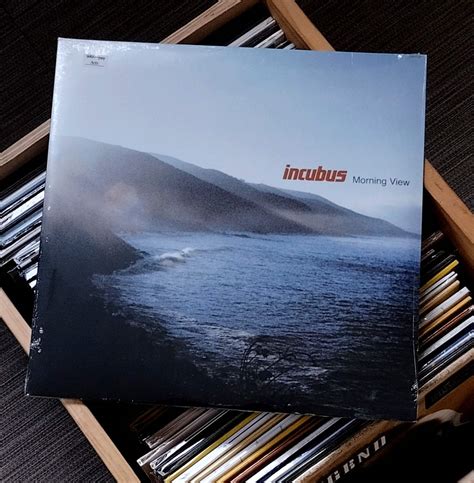 Incubus – Morning View | Vinyl LP The Grey Market Record | Lazada PH