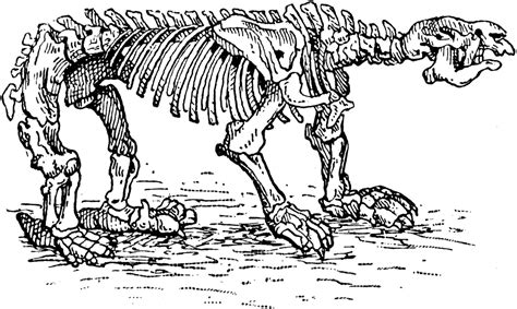 Megatherium Skeleton | ClipArt ETC