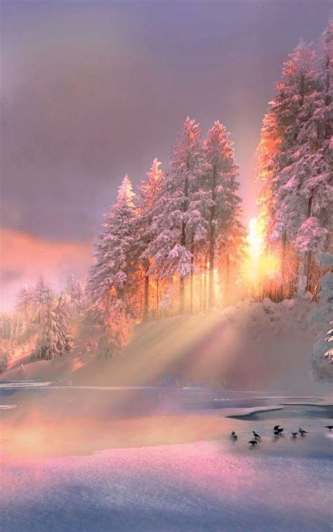 Marion Spekker on Twitter | Winter scenery, Beautiful winter scenes, Winter scenes