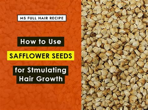 How to Use Safflower Seeds for Stimulating Hair Growth - Ms Full Hair ...