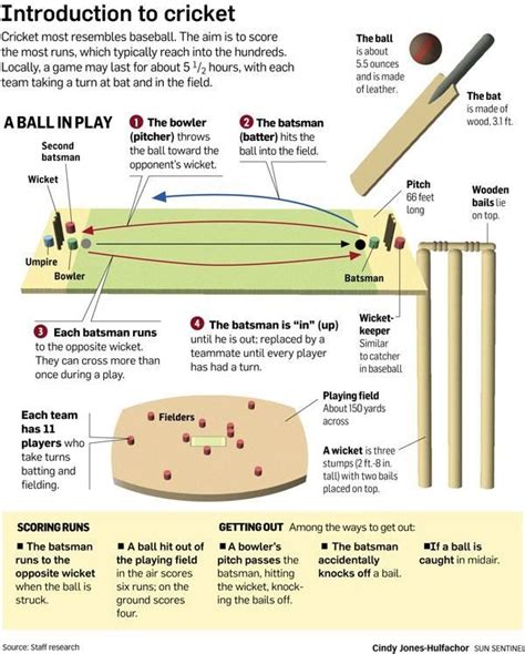 freelancer | Cricket, Cricket sport, Cricket club