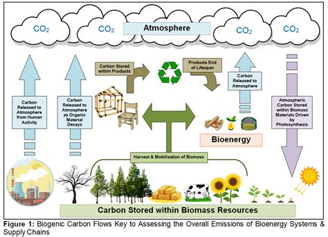 Webinar on temporal and accounting aspects of greenhouse gas emissions ...