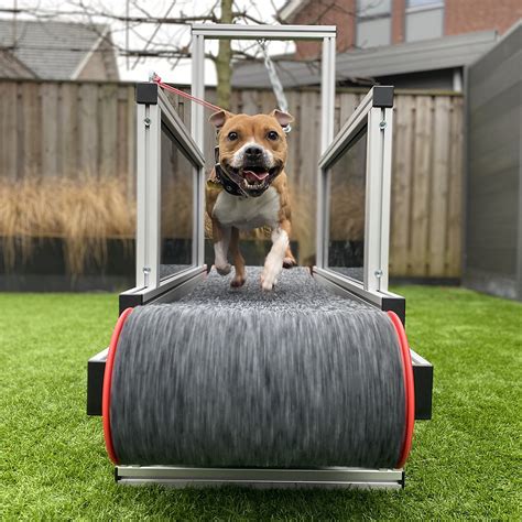 Treadmills (slat mills) for dogs | Dogmills | Dog treadmill