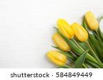 Yellow Tulip Free Stock Photo - Public Domain Pictures