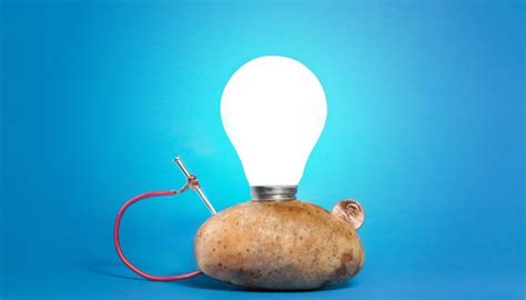 Potato Powered Light Bulb Science Fair Project | Ruivadelow