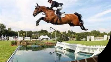 Crazy horse jumping - YouTube