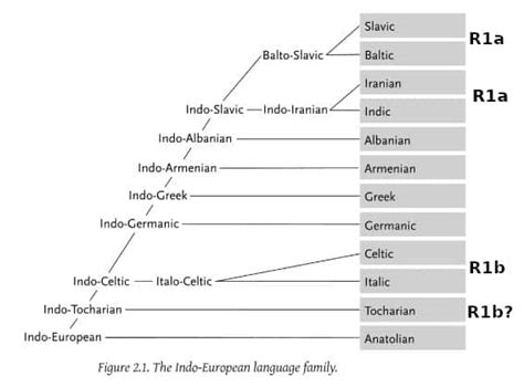 Proto Indo European Language Chart