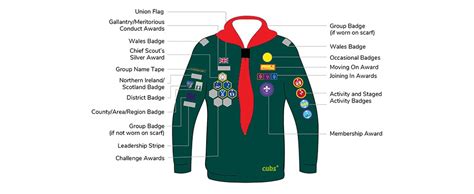 Cub Badge Placement | East Goscote Scout Group