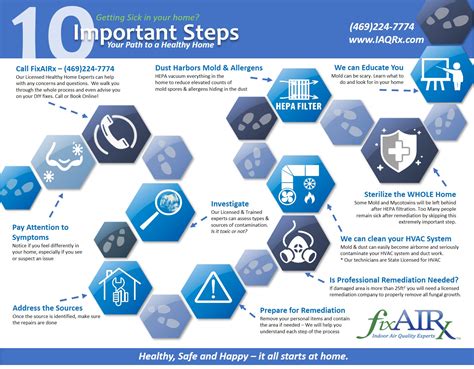 FixAIRx Mold Remediation Process InfoGraphic - FixAIRx