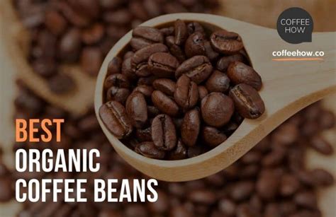 10 Best Organic Coffee Beans Reviewed 2022 - Guide to Certified Organic