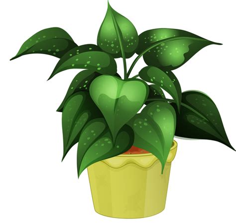 Flower Pot Clipart Png – Idalias Salon