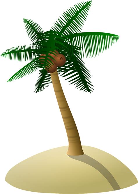 Download Coconut Tree, Palm Tree, Dune. Royalty-Free Vector Graphic ...