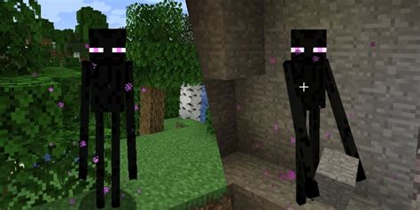 Minecraft Fan Creates New Ability for Enderman - TrendRadars