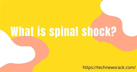 What is Spinal Shock? | Causes & Symptoms of Spinal Shock