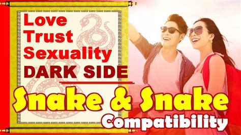 Snake and Snake Compatibility in Love, Life, Trust, Intimacy | Snake ...