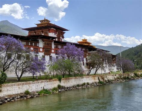 Punakha Dzong Bhutan, Timings, History, Entry Fees & Information