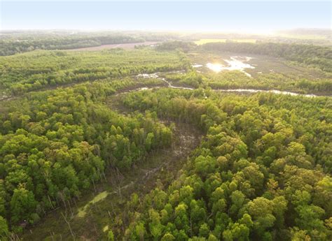 Building habitat corridors : Sycamore Land Trust