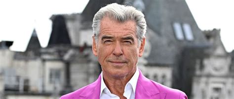 REPORT: Suspect Arrested For Bizarre Break-In At Pierce Brosnan’s House, Allegedly Defecated In ...