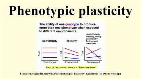 Phenotypic plasticity - YouTube