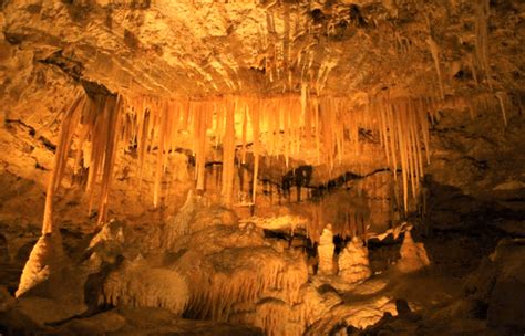 Baratang Island's Limestone Caves: A Must-See Attraction