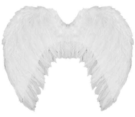 WHITE FEATHER ANGEL WINGS FAIRY FANCY DRESS COSTUME ACCESSORY LARGE 55CM X 50CM | eBay