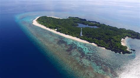 [Where I've Been] Apo Reef, majestic underwater world