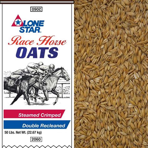 Race Horse Oats Canvas Craft Supplies & Tools jan-takayama.com