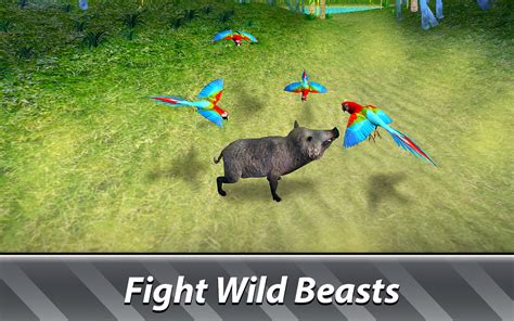 Parrot Simulator: Junngle Bird Survival : Amazon.co.uk: Apps & Games