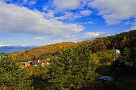 Autumn Seasons Free Stock Photo - Public Domain Pictures