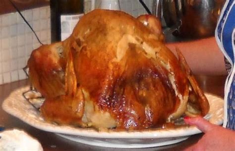 27+ Best Turkey Recipe In Electric Roaster Images - Backpacker News