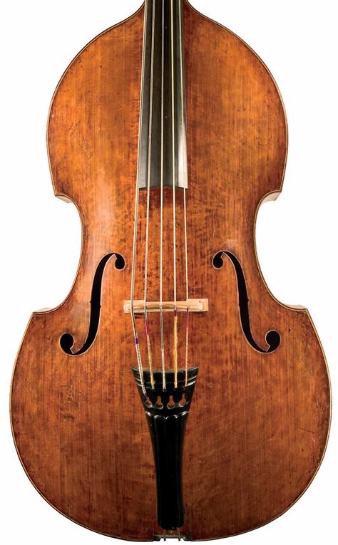 In Focus: studies of great and unusual stringed instruments | Gallery | The Strad