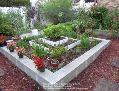 DIY flower beds | Cinder Block Raised Beds: Cinder block raised beds (All Things Plants ...