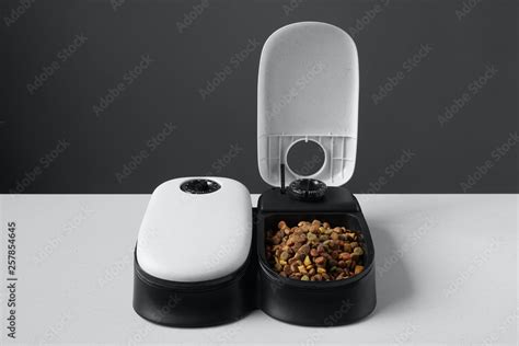 automatic cat food dispenser or pet feeder Stock Photo | Adobe Stock