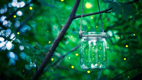 Does finding that micro-moment feel like chasing fireflies? Here are 9 data points that will ...