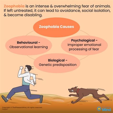 Zoophobia (Fear of Animals) - Definition, Symptoms, Causes, and Treatment